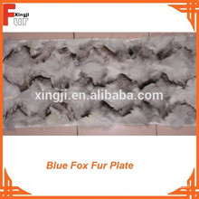 Front Paw Blue Fox Fur Plate